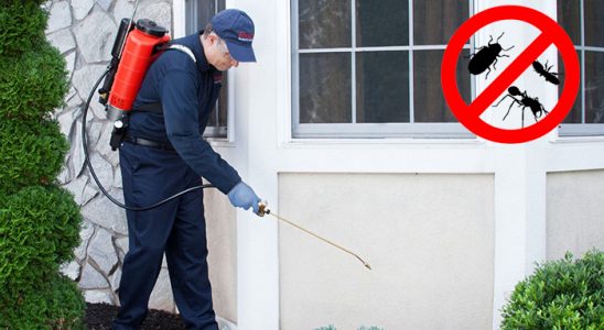 Başkale Kene İlaçlama böcek ilaçlama ve haşere kontrolü — ilaclama-tr.com